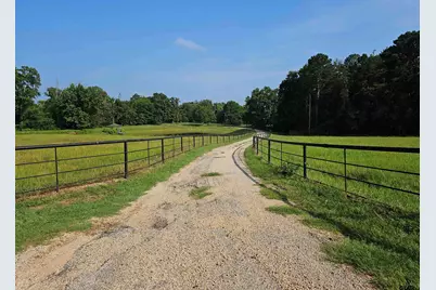 893 Fm 1519, Pittsburg, TX 75686 - Photo 47