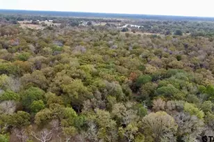 15308 W Fm 321, Tennessee Colony, TX 75861 - Photo 3