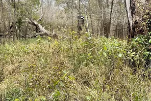 15308 W Fm 321, Tennessee Colony, TX 75861 - Photo 17