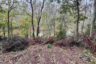 15308 W Fm 321, Tennessee Colony, TX 75861 - Photo 19