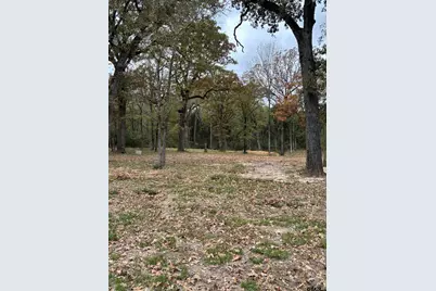 15308 W Fm 321, Tennessee Colony, TX 75861 - Photo 13
