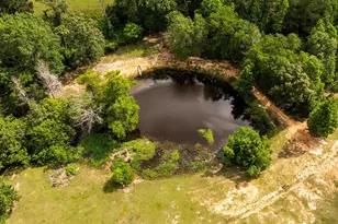 8460 Fm 322, Palestine, TX 75801 - Photo 31