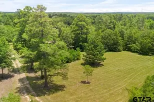 729 Co Rd 4040, Crockett, TX 75835 - Photo 31