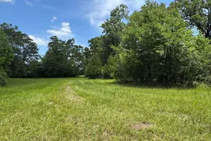 729 Co Rd 4040, Crockett, TX 75835 - Photo 29
