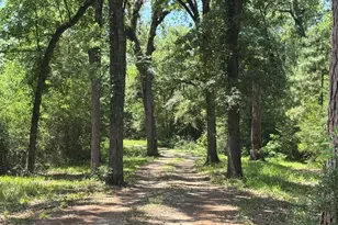 729 Co Rd 4040, Crockett, TX 75835 - Photo 25