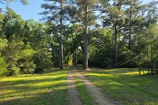729 Co Rd 4040, Crockett, TX 75835 - Photo 27