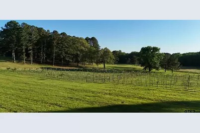 000 County Road 2680, Hawkins, TX 75765 - Photo 19