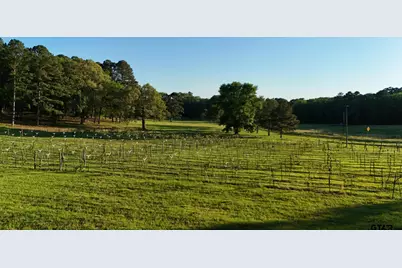 000 County Road 2680, Hawkins, TX 75765 - Photo 33