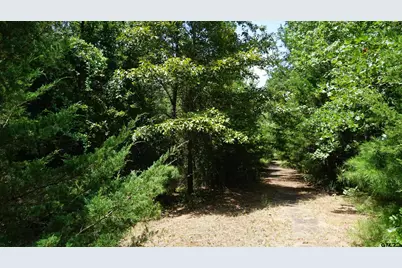 Tbd Private Road 7907, Hawkins, TX 75765 - Photo 15