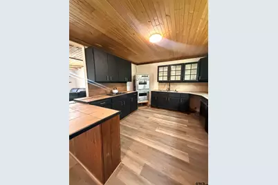 2721 Vz County Road 4707, Ben Wheeler, TX 75754 - Photo 7