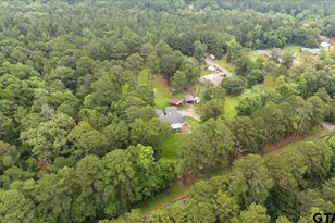 20994 State Hwy 110 N, Troup, TX 75789 - Photo 9
