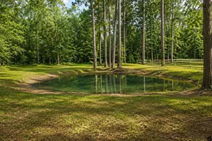 12890 Cr 463, Tyler, TX 75706 - Photo 45