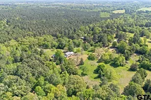 1707 Co Rd 4101, Jacksonville, TX 75766 - Photo 29