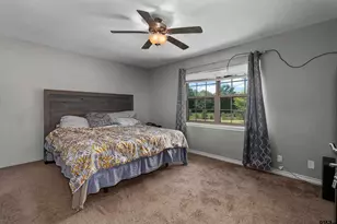 11162 County Road 233, Arp, TX 75750 - Photo 25