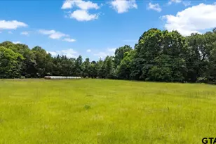 460 Co Rd 4612, Troup, TX 75789 - Photo 39