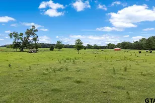 460 Co Rd 4612, Troup, TX 75789 - Photo 41