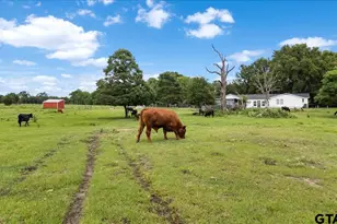 460 Co Rd 4612, Troup, TX 75789 - Photo 37