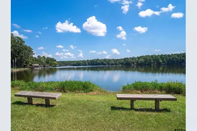 178 Butternut Glen, Holly Lake Ranch, TX 75765 - Photo 47