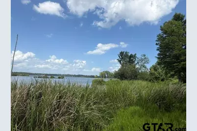 3196 Shadow Pine Dr, LaRue, TX 75770 - Photo 3