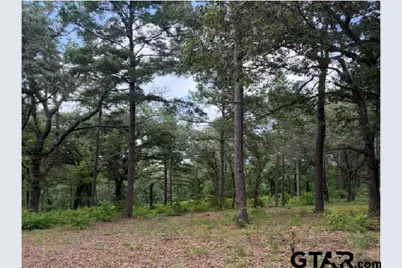 3196 Shadow Pine Dr, LaRue, TX 75770 - Photo 5