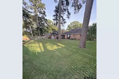4392 Leaning Oaks Drive, Flint, TX 75762 - Photo 3