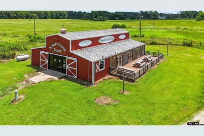 11074 W Highway 64, Overton, TX 75684 - Photo 35