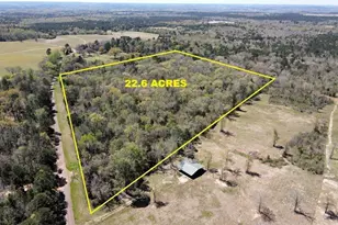Tbd Cr 4501, Jacksonville, TX 75766 - Photo 1