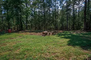 5230 Fm 1404, Gilmer, TX 75645 - Photo 3