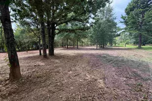 142 Sandy Ln, Bullard, TX 75757 - Photo 1