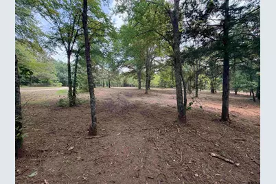 142 Sandy Lane, Bullard, TX 75757 - Photo 11