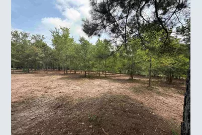 142 Sandy Lane, Bullard, TX 75757 - Photo 9