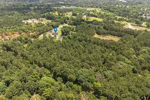 704 W Ross, Troup, TX 75789 - Photo 47