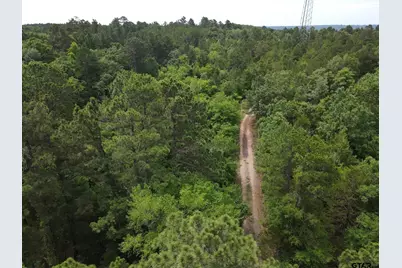 Tbd 16 +/- Ac Vz County Road 4814, Ben Wheeler, TX 75754 - Photo 3