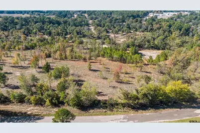 Tbd County Road 4112 Lot 2, Lindale, TX 75771 - Photo 13