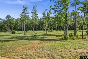 15810 Aniston Ln, Flint, TX 75762 - Photo 1