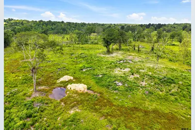 Tbd Highway 31 E, Tyler, TX 75705 - Photo 5