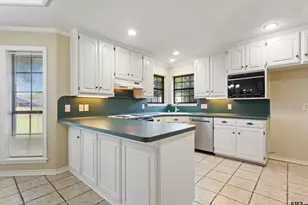 19173 Greenleaf Dr, Flint, TX 75762 - Photo 11