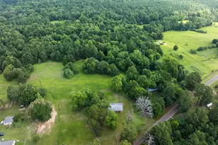 519 An County Road 45, Palestine, TX 75803 - Photo 19