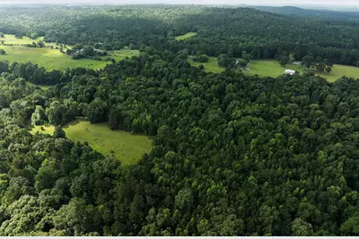 519 An County Road 45, Palestine, TX 75803 - Photo 13