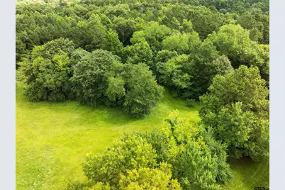 519 An County Road 45, Palestine, TX 75803 - Photo 43