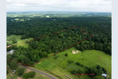 519 An County Road 45, Palestine, TX 75803 - Photo 3