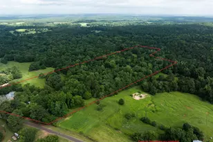 519 An County Road 45, Palestine, TX 75803 - Photo 3