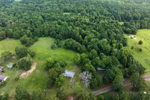 519 An County Road 45, Palestine, TX 75803 - Photo 17