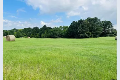 Tbd Belles Lane, Brownsboro, TX 75756 - Photo 1
