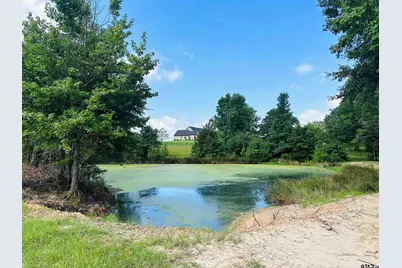 Tbd Belles Lane, Brownsboro, TX 75756 - Photo 5