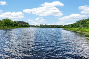 6880 Pr 7703, Athens, TX 75752 - Photo 15