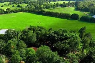6231 Co Rd 4511, Athens, TX 75752 - Photo 29