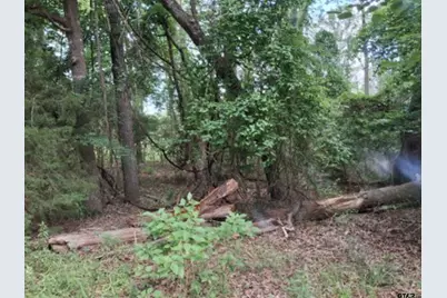 Tbd Dogwood Drive, Murchison, TX 75778 - Photo 5