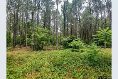 21135 Fm 1252, Winona, TX 75706 - Photo 21