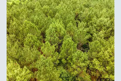 21135 Fm 1252, Winona, TX 75706 - Photo 5